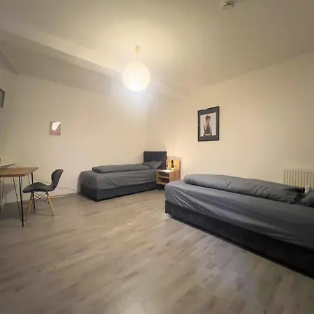 Apartment Livemore24 - Apartment 5 In Duisburg Wlan - Smart-Tv - 24-7 Check-In Und Kueche Duisburg